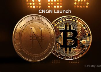 cNGN Stable coin